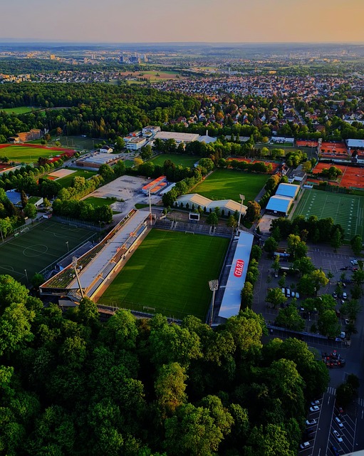 虎扑体育官方:体育西甲:恩迪亚耶建功 马洛卡1-0塞尔塔